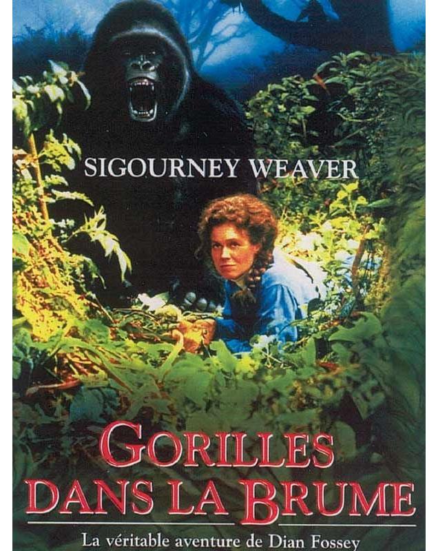 Couverture du DVD : Gorilles dans la brume