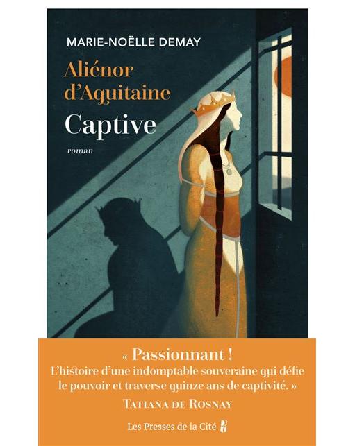 Couverture du livre : Captive