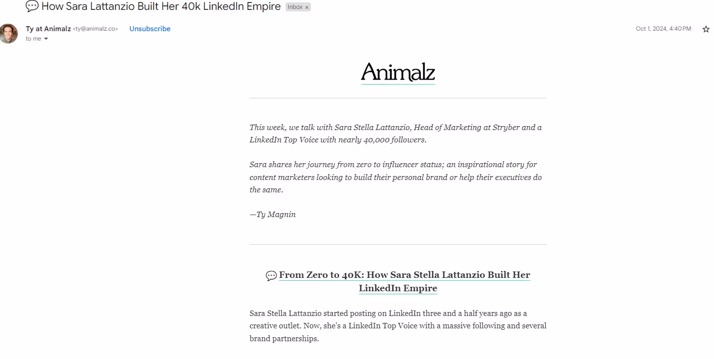 Newsletter from Animalz