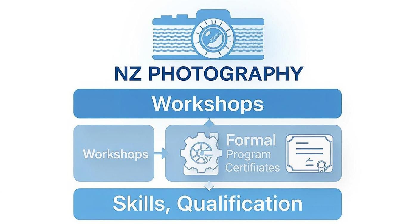 Infographic about new zealand photography courses