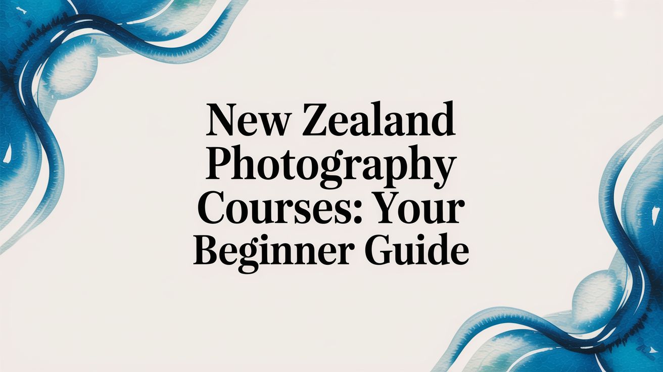 new zealand photography courses: Your Beginner Guide
