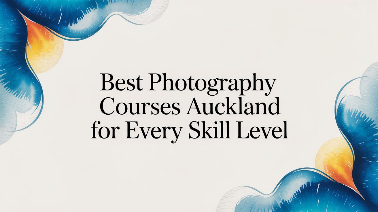 Best Photography Courses Auckland for Every Skill Level