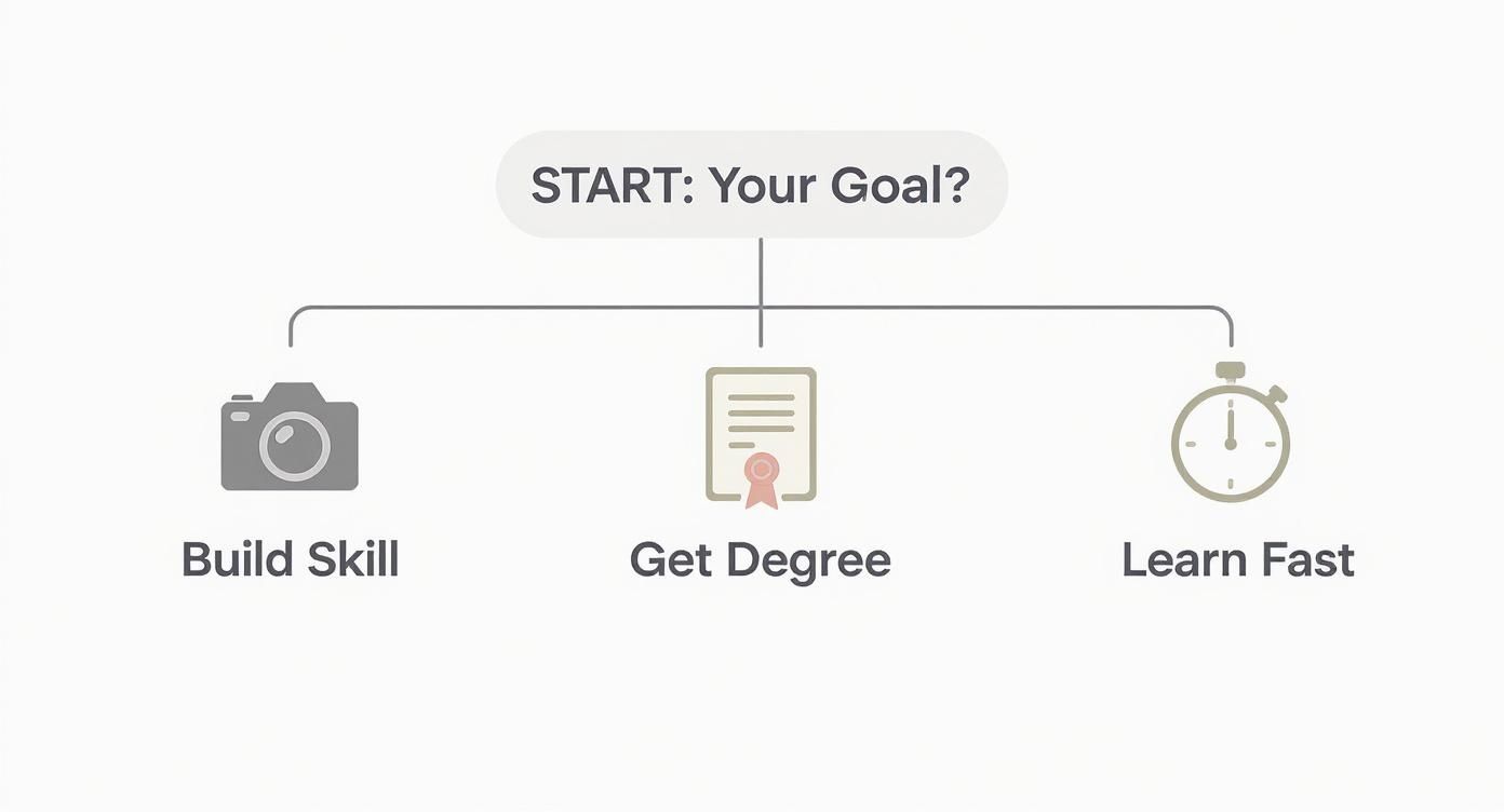Infographic decision tree for choosing photography courses in Auckland, based on goals like building skills, getting a degree, or learning fast.