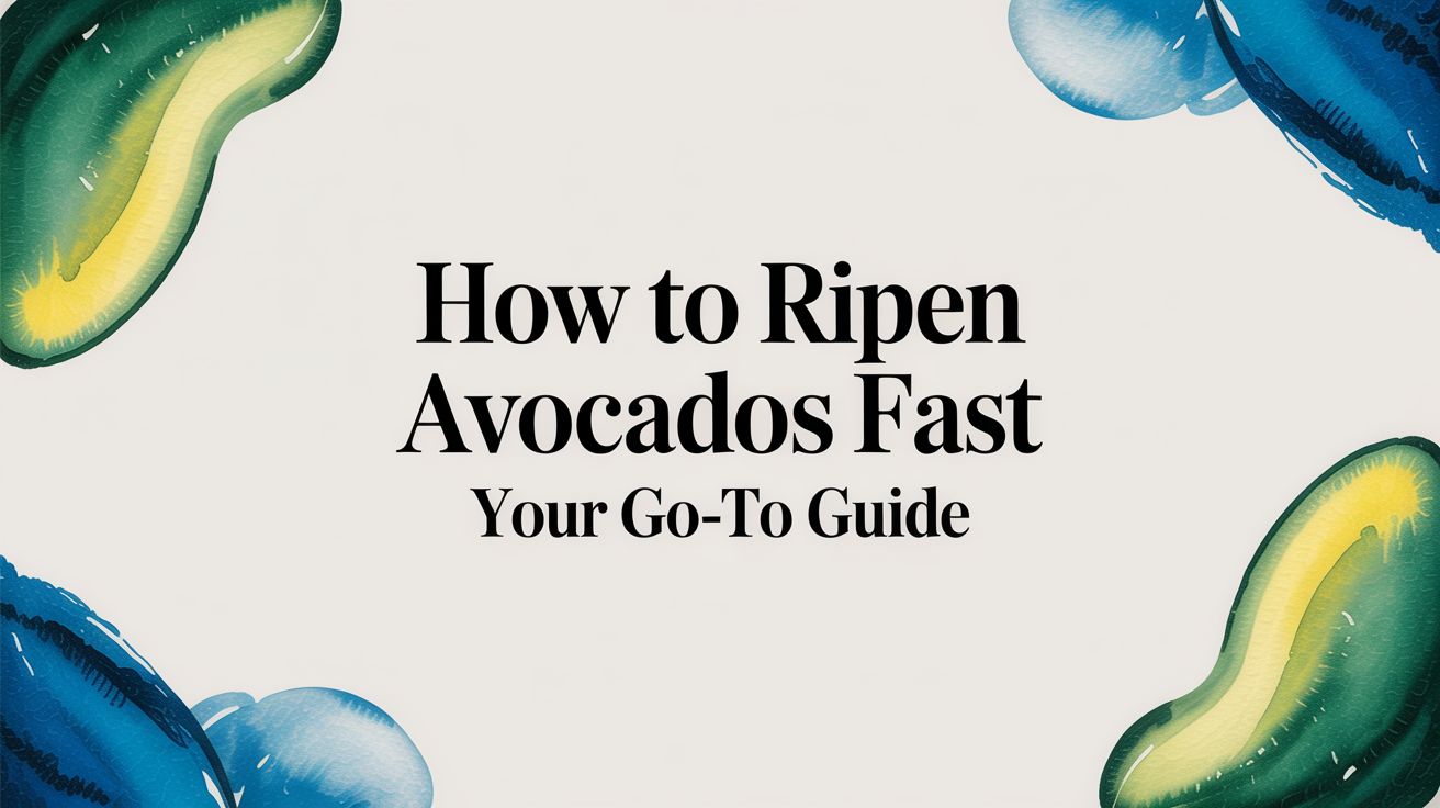How to Ripen Avocados Fast Your Go-To Guide