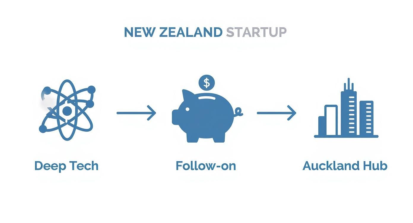 Infographic about angel investors new zealand