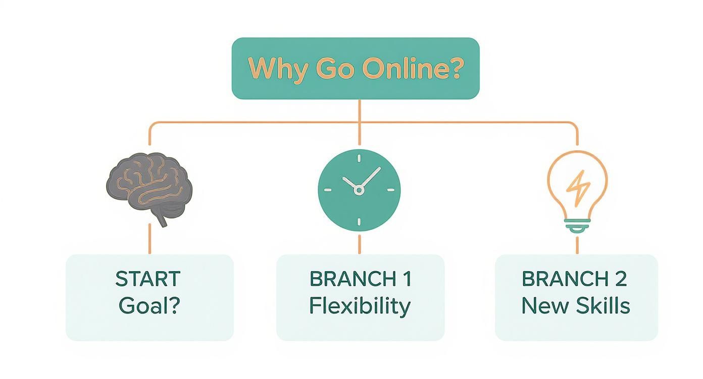 Infographic decision tree showing the motivations for choosing online business courses in New Zealand.