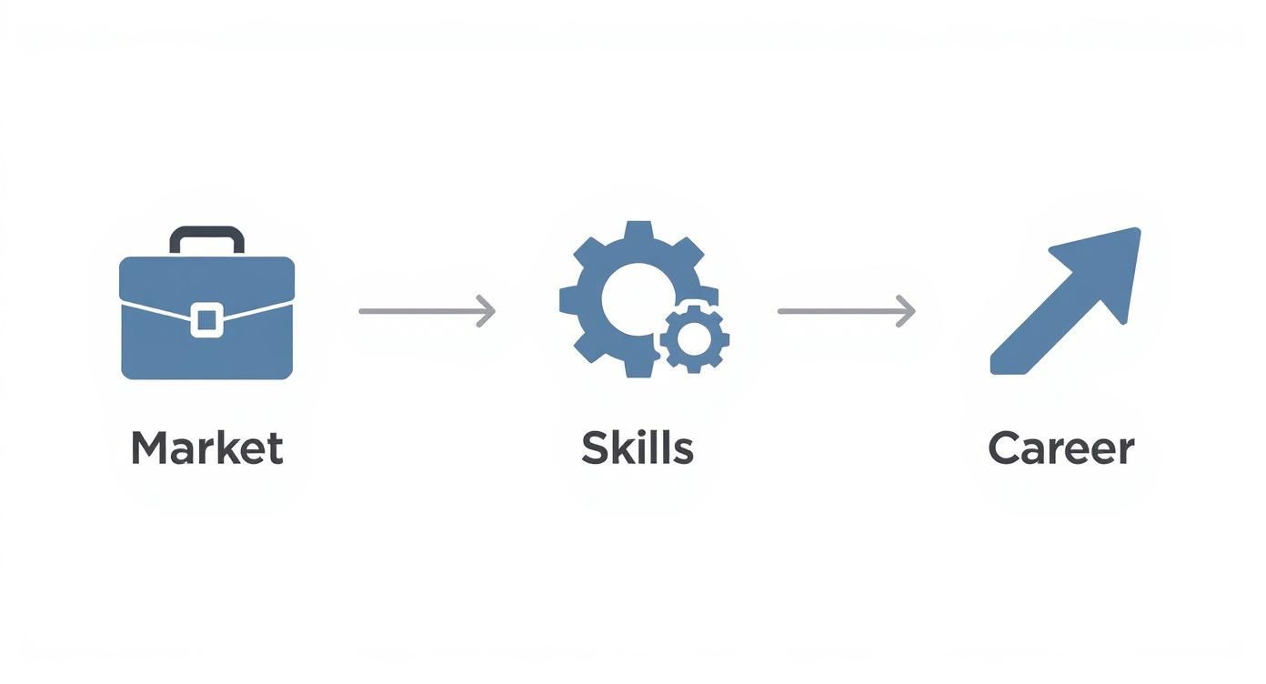 Infographic about digital marketing classes