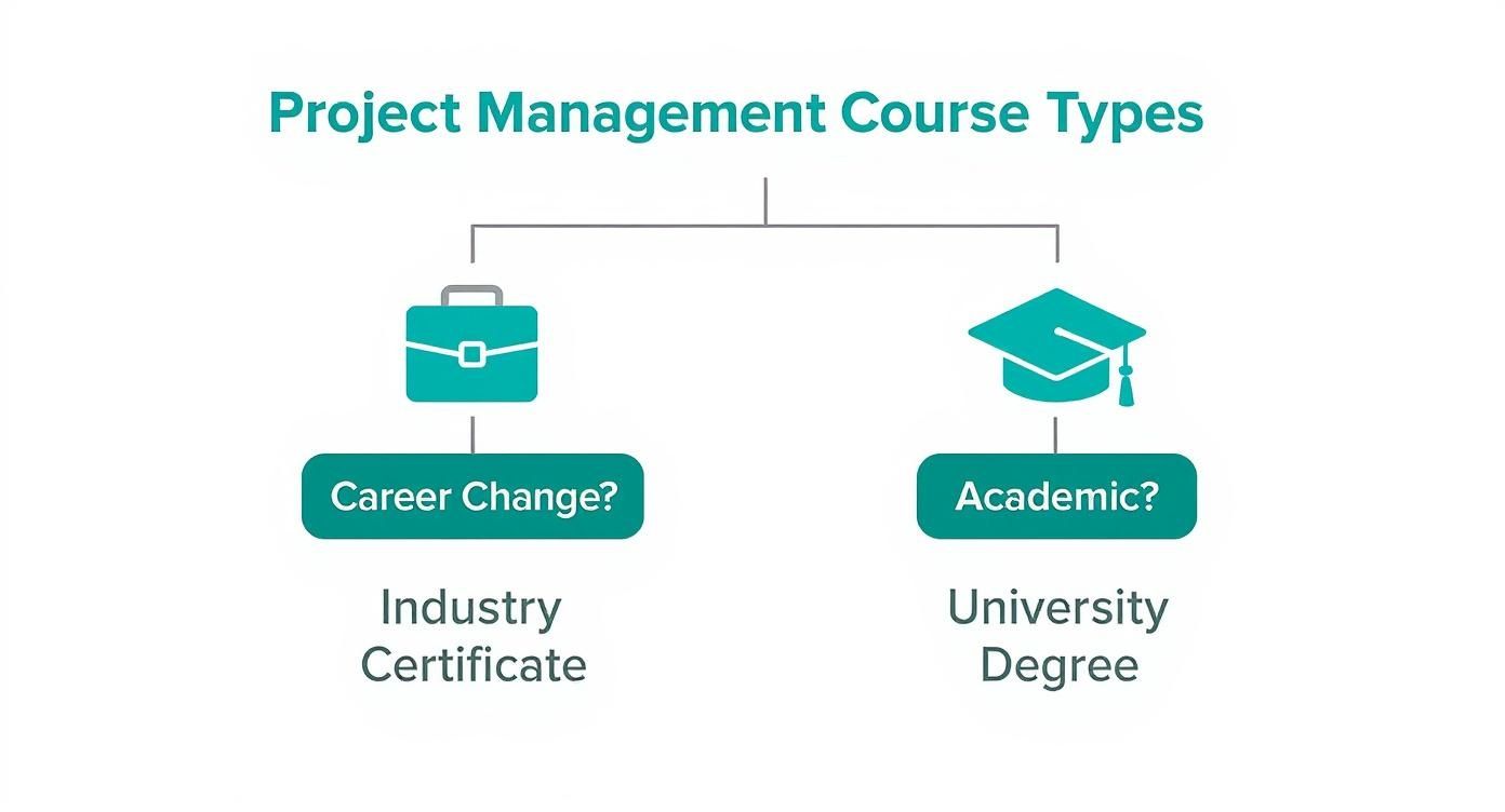 Infographic decision tree helping users choose between an industry certificate for a career change or a university degree for academic goals.