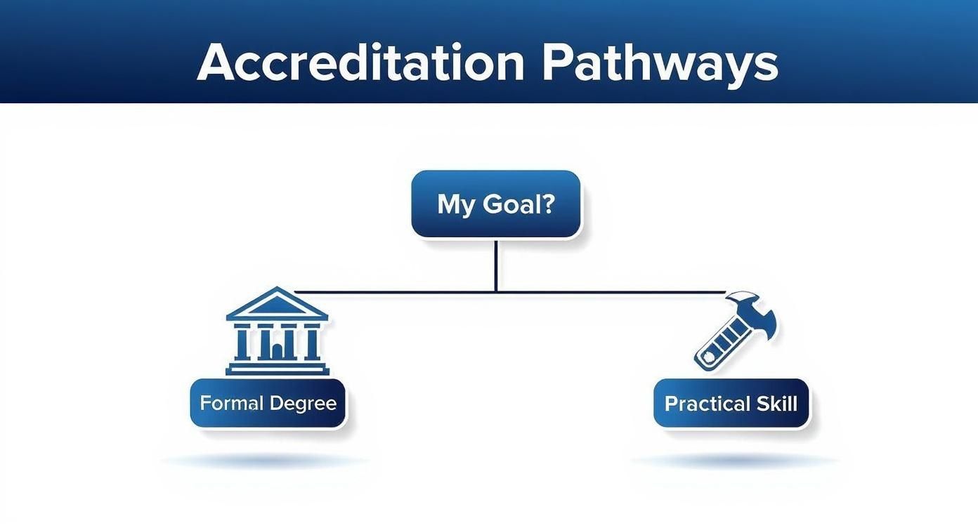 Flowchart illustrating accreditation pathways, branching from 'My Goal?' into 'Formal Degree' or 'Practical Skill'.