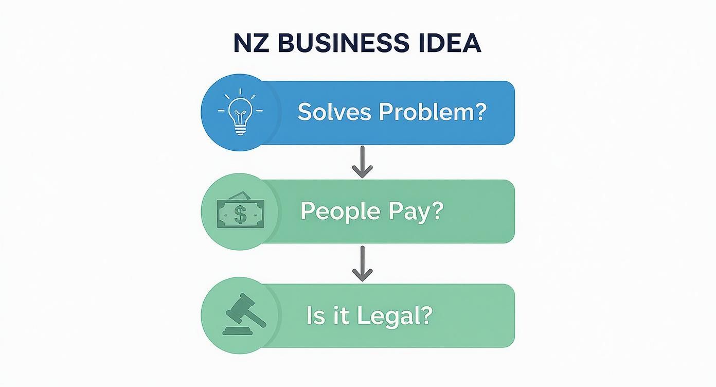 A flowchart outlining three key questions for evaluating a New Zealand business idea: solves a problem, people pay, and is it legal.