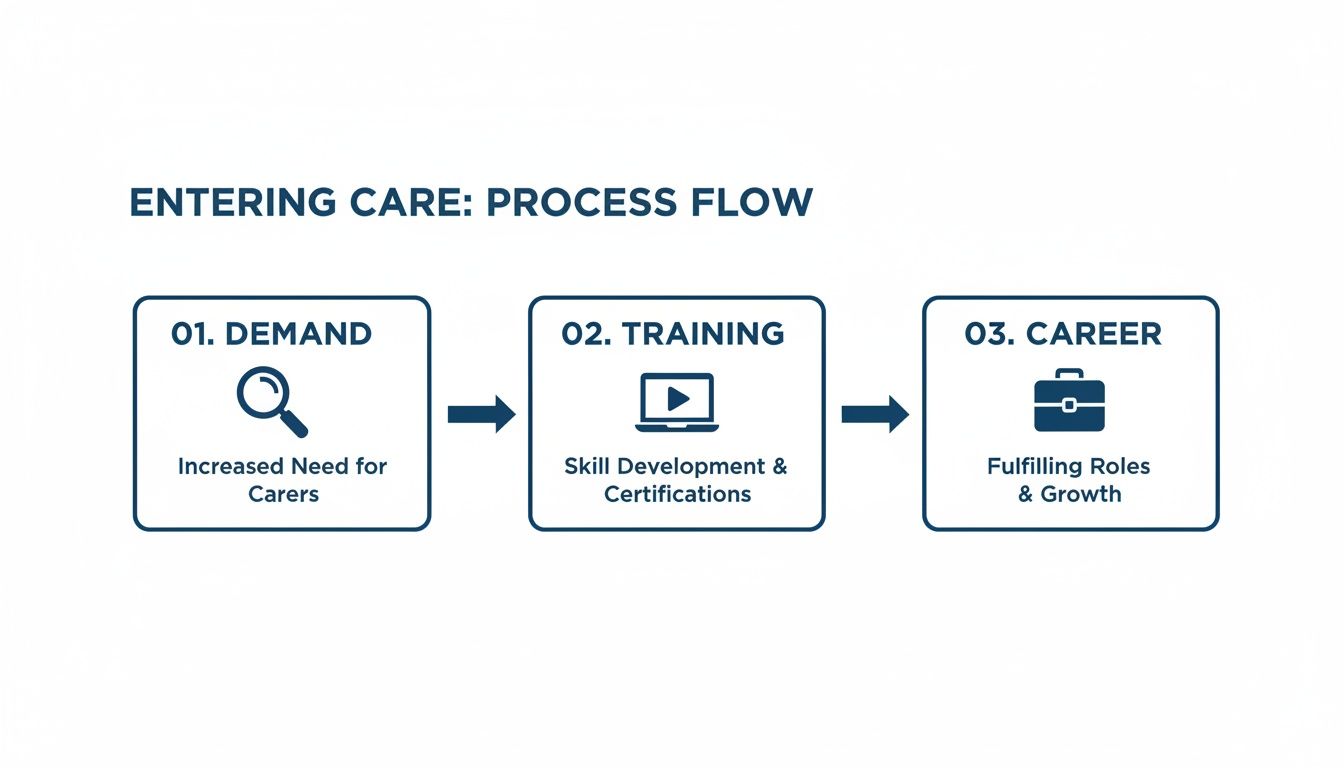 Process flow diagram illustrating steps to entering care: demand, training, and career.