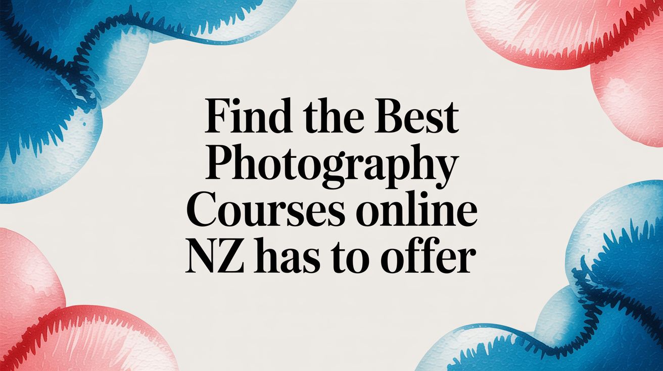 Find the Best Photography Courses Online NZ Has to Offer