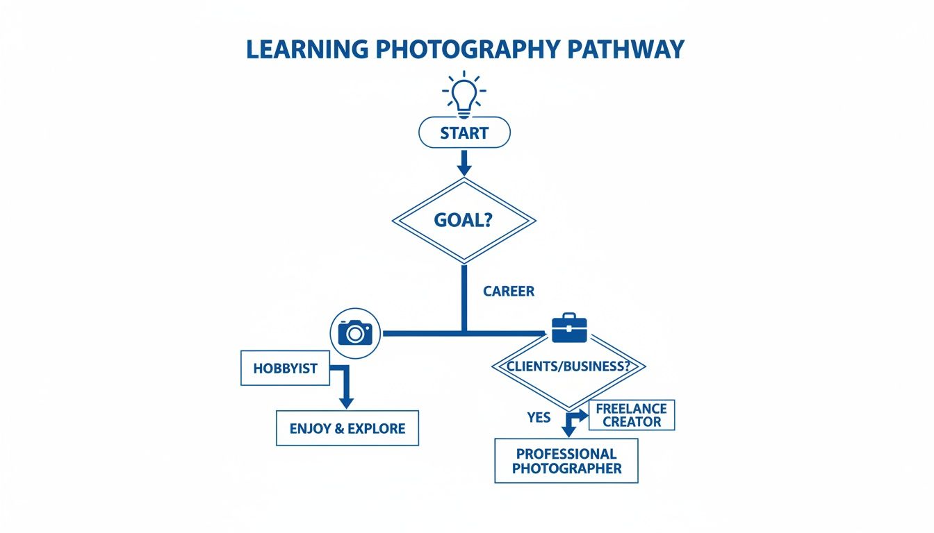 Flowchart illustrating a learning photography pathway from start to different career goals.