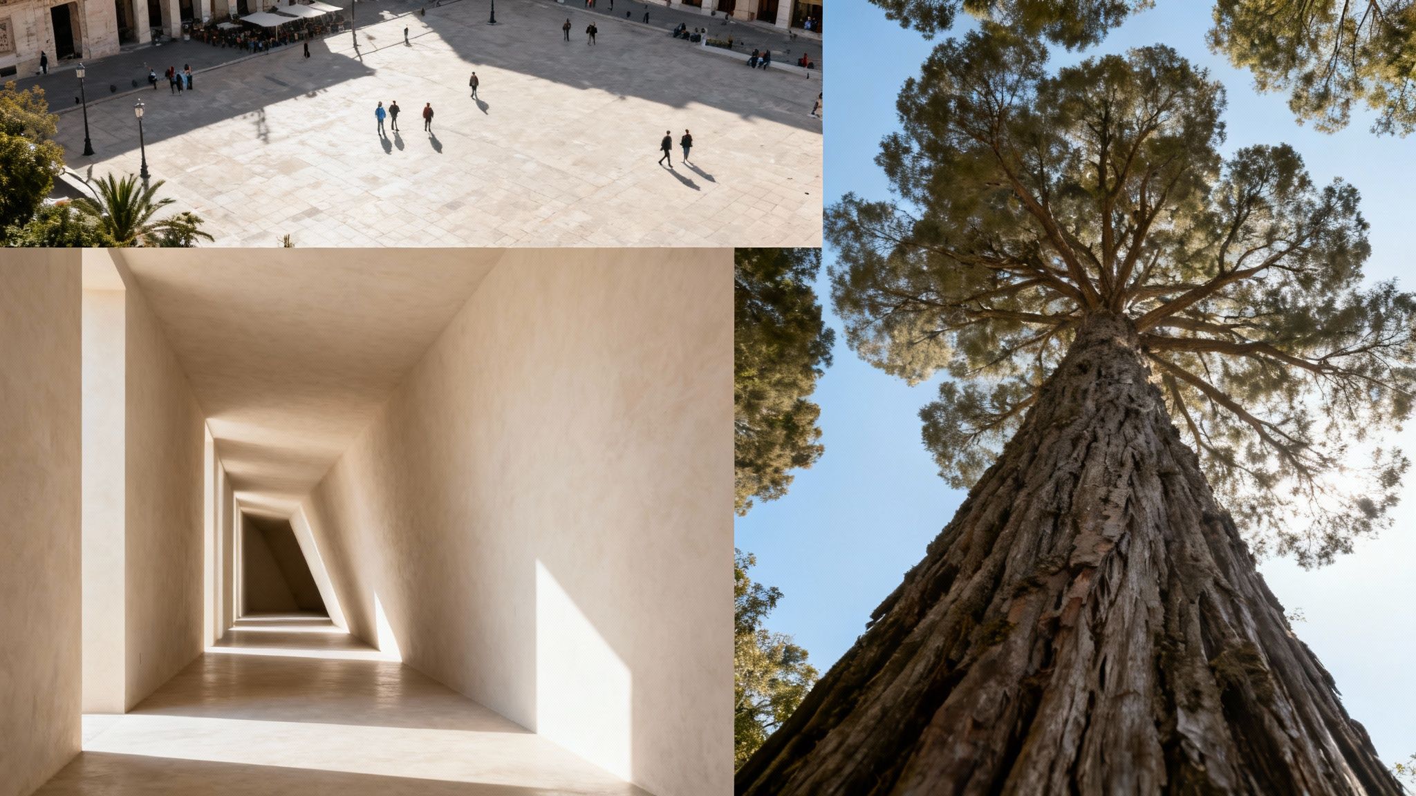 A triptych image showcasing a city square from above, an abstract corridor, and a tall tree from below.
