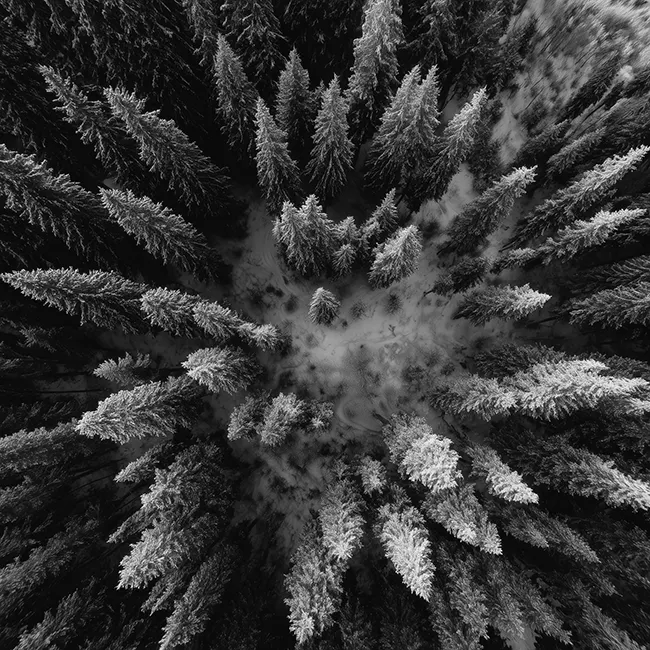 Yoline Marketing Tipps Tricks und Insights. Blog