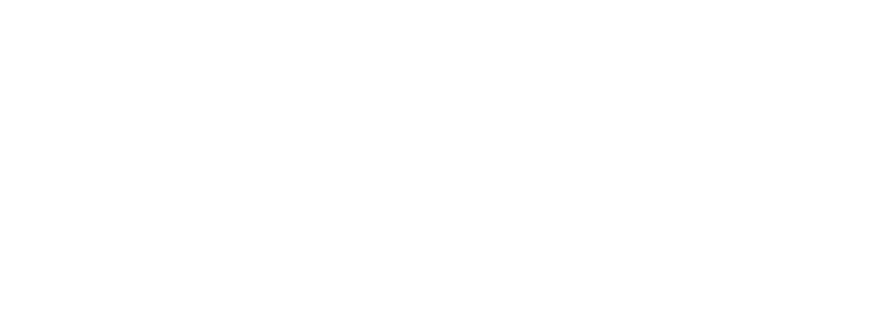 Simplon Logo