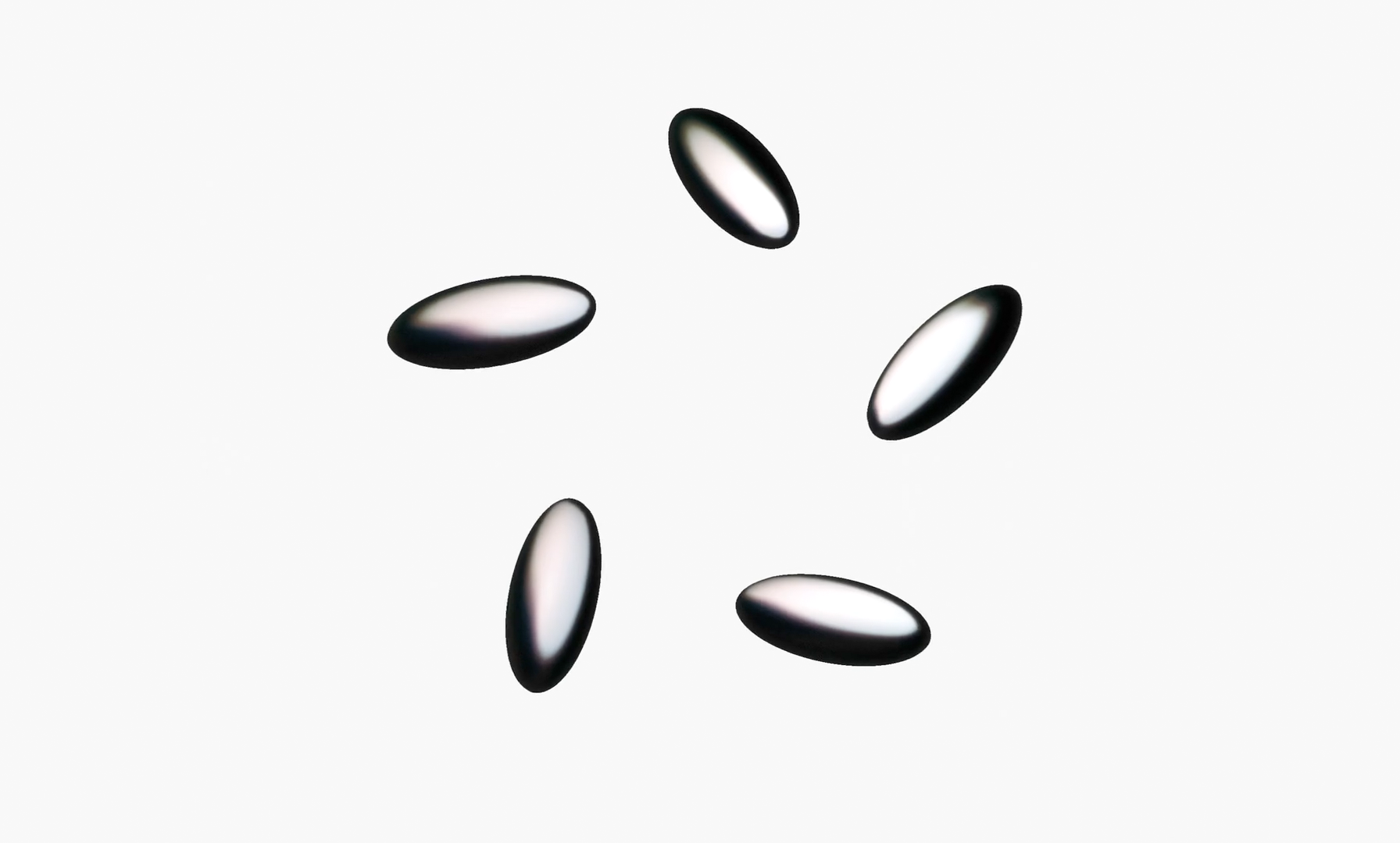 BlackOpal Logo Animated