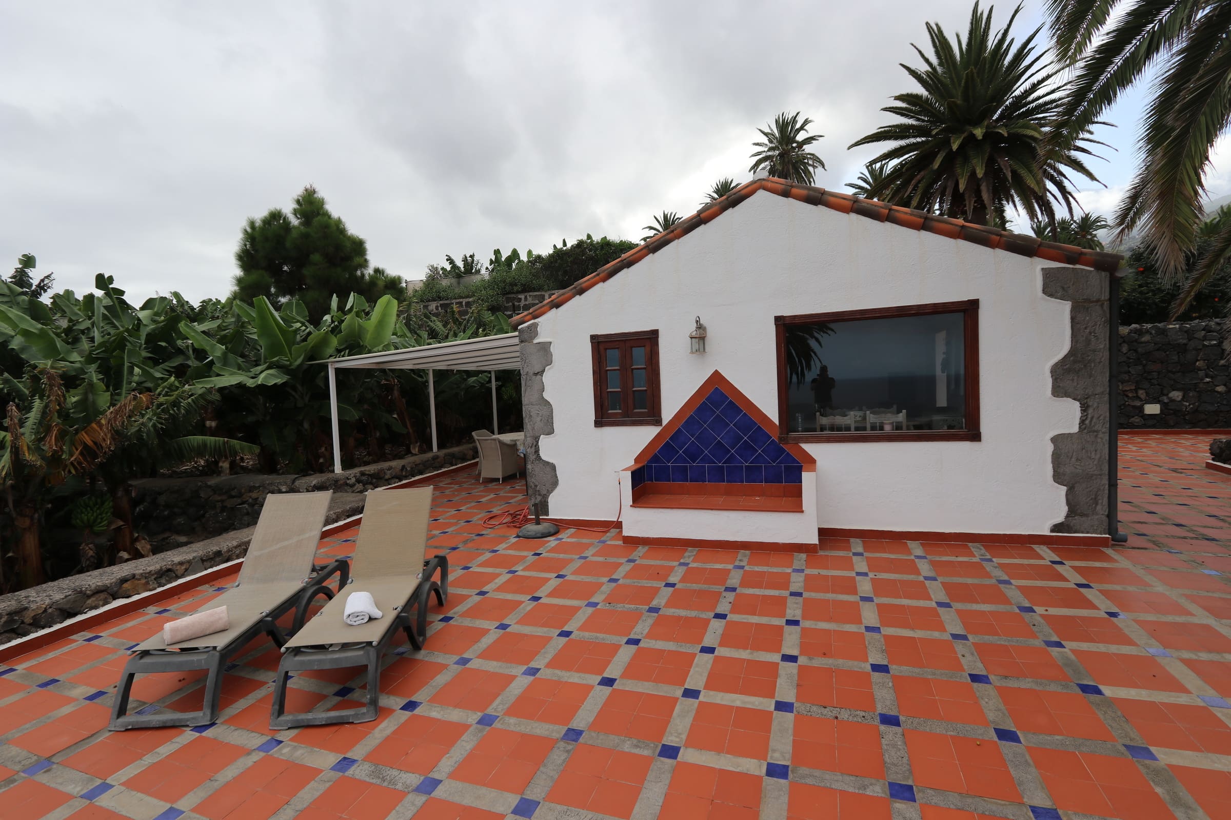Finca Don Quijote abajo - Icod de los Vinos (max. 2 Personen)