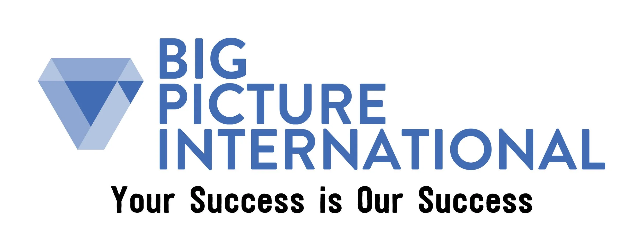 Big picture international