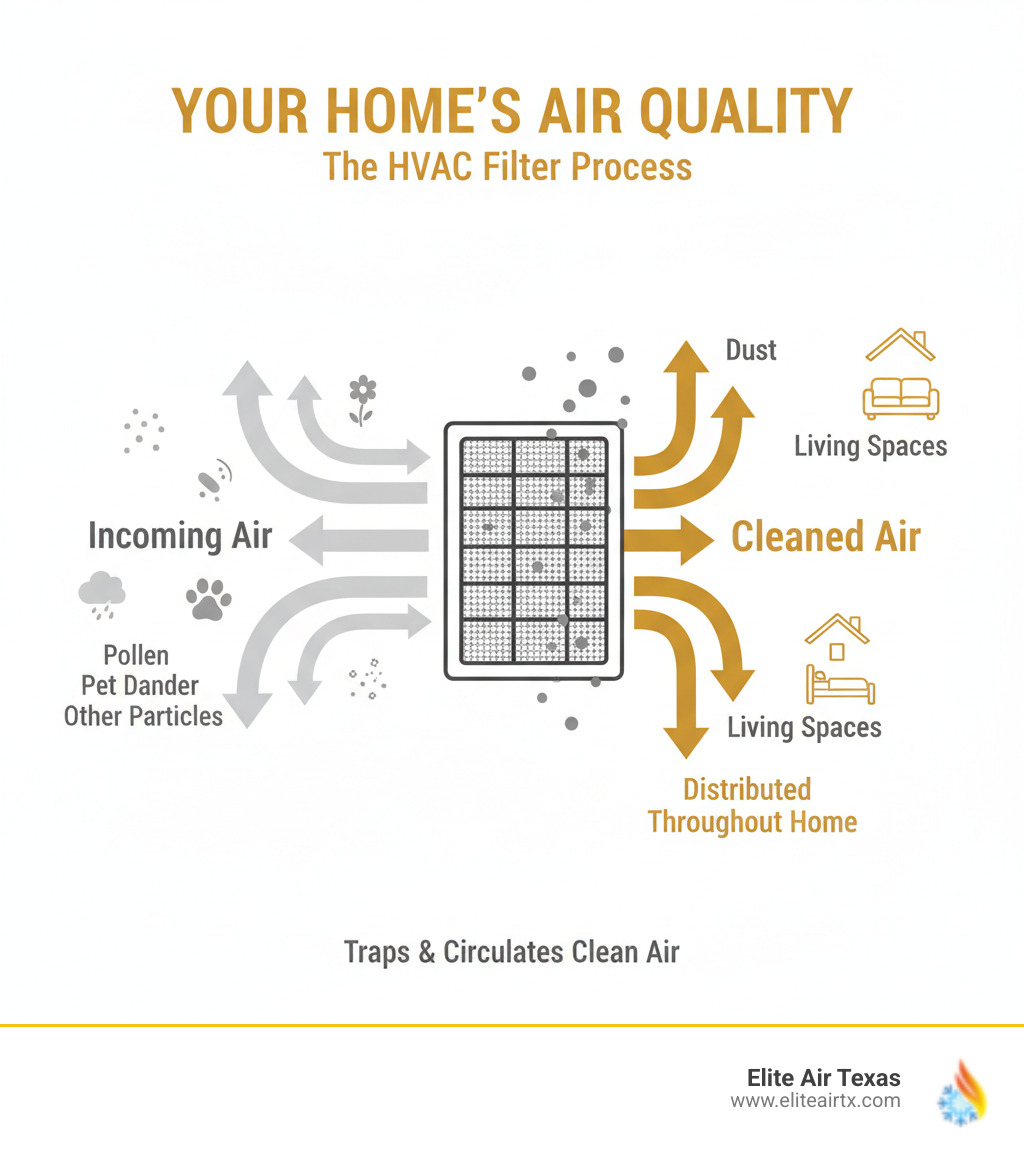 infographic showing how a home HVAC air filter traps dust, pollen, pet dander, and other airborne particles as air flows through the system, with arrows indicating clean air distribution to living spaces - air filter replacement plano tx infographic 