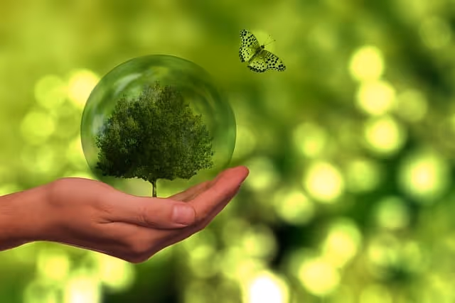 tree, butterfly, globe, energy, sustainability, renewable, earth, world, humanity, population, eco, environment, ecology, forward, electricity production, nature, sustainability, sustainability, sustainability, sustainability, sustainability, eco