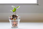 The Rise of the Wellness Revolution