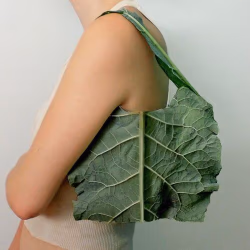 99 Sustainable Fashion Brands By Budget