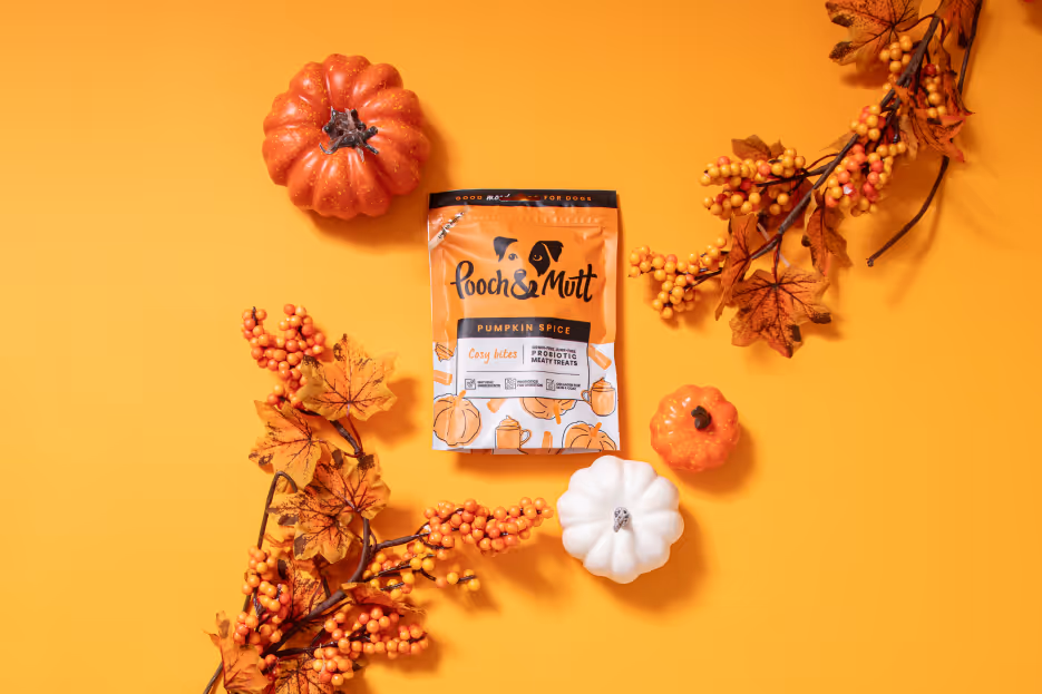 encuir creative production