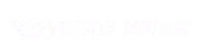 VisCap Media: Recruiting Elite Creative Strategists for a 7-Figure Agency