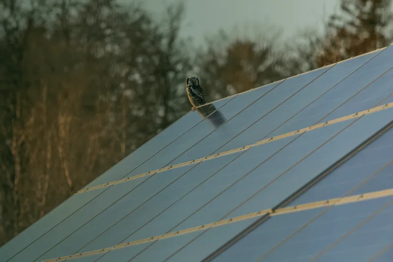 Solar panels
