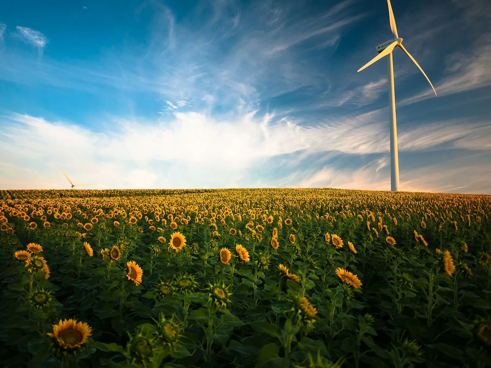 wind turbines