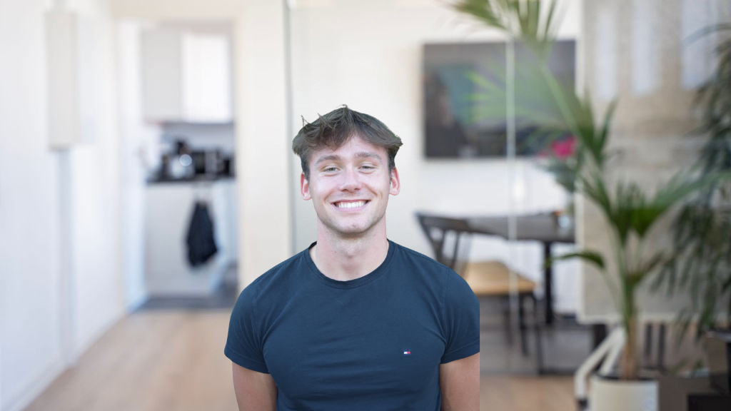 Omrids af informationssikkerhedskonsulent