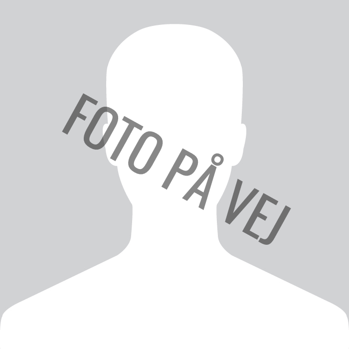 Omrids af informationssikkerhedskonsulent
