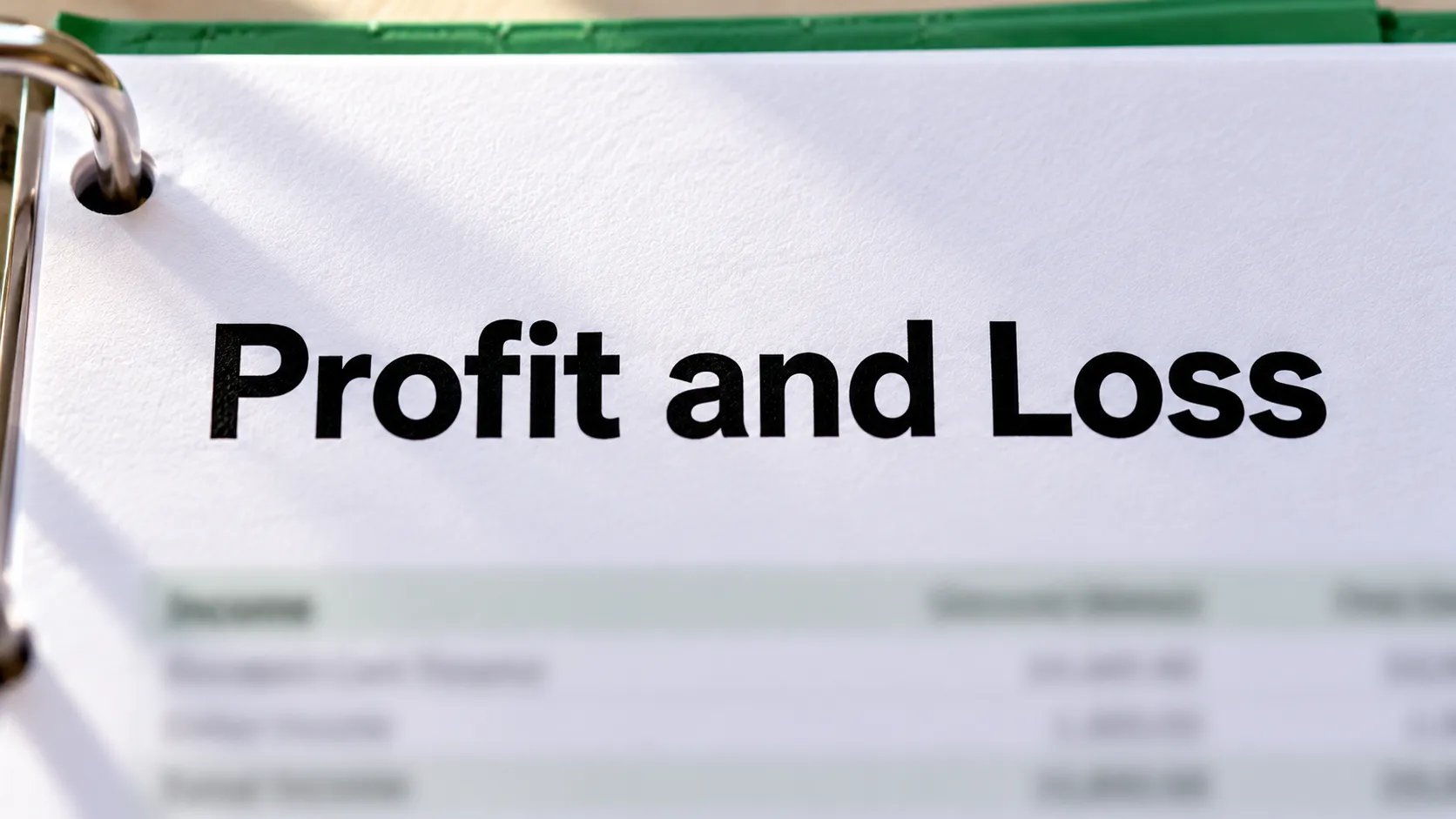 Binder of monthly books with a profit and loss page