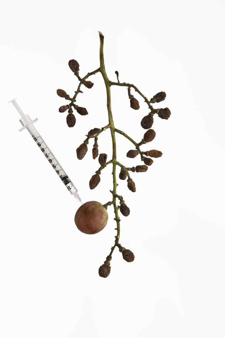 Ethan Zargo product photography, botox grape concept, Vancouver BC