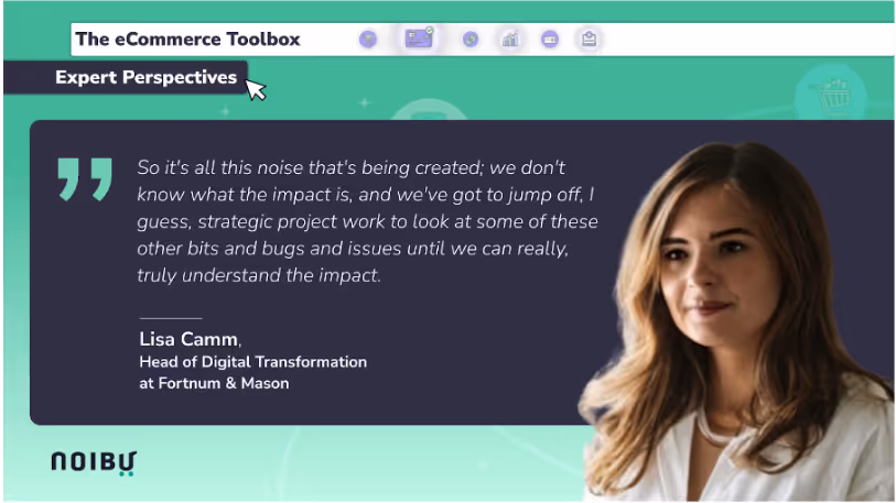 Lisa Camm on website issues