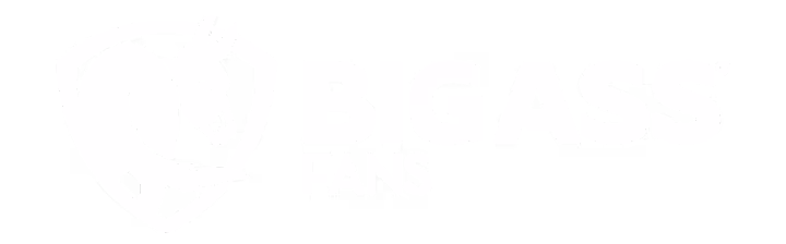 Big Ass Fans