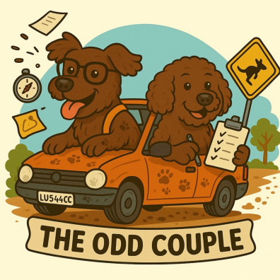 The odd couple team photo