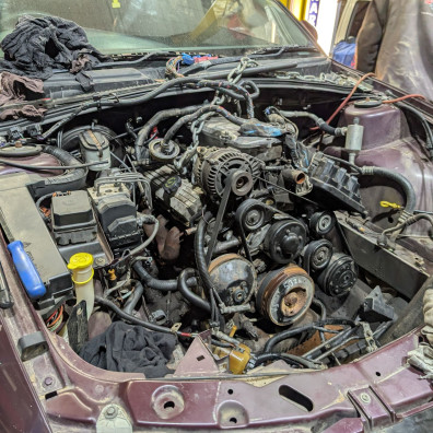 Gone Bush team photo