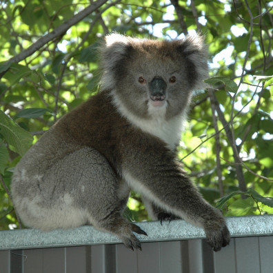 Support 8 team photo