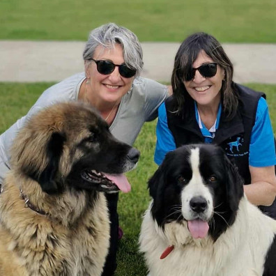 Agents of Sheila team photo