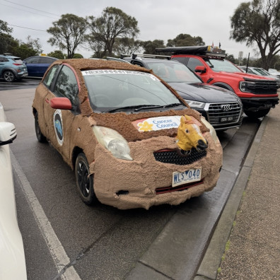 The Old Moles team photo