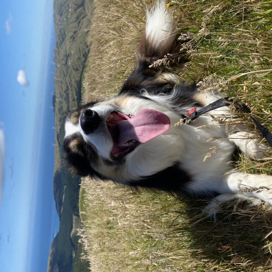 Road Pirates team photo