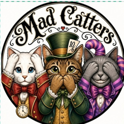 Mad catters team photo