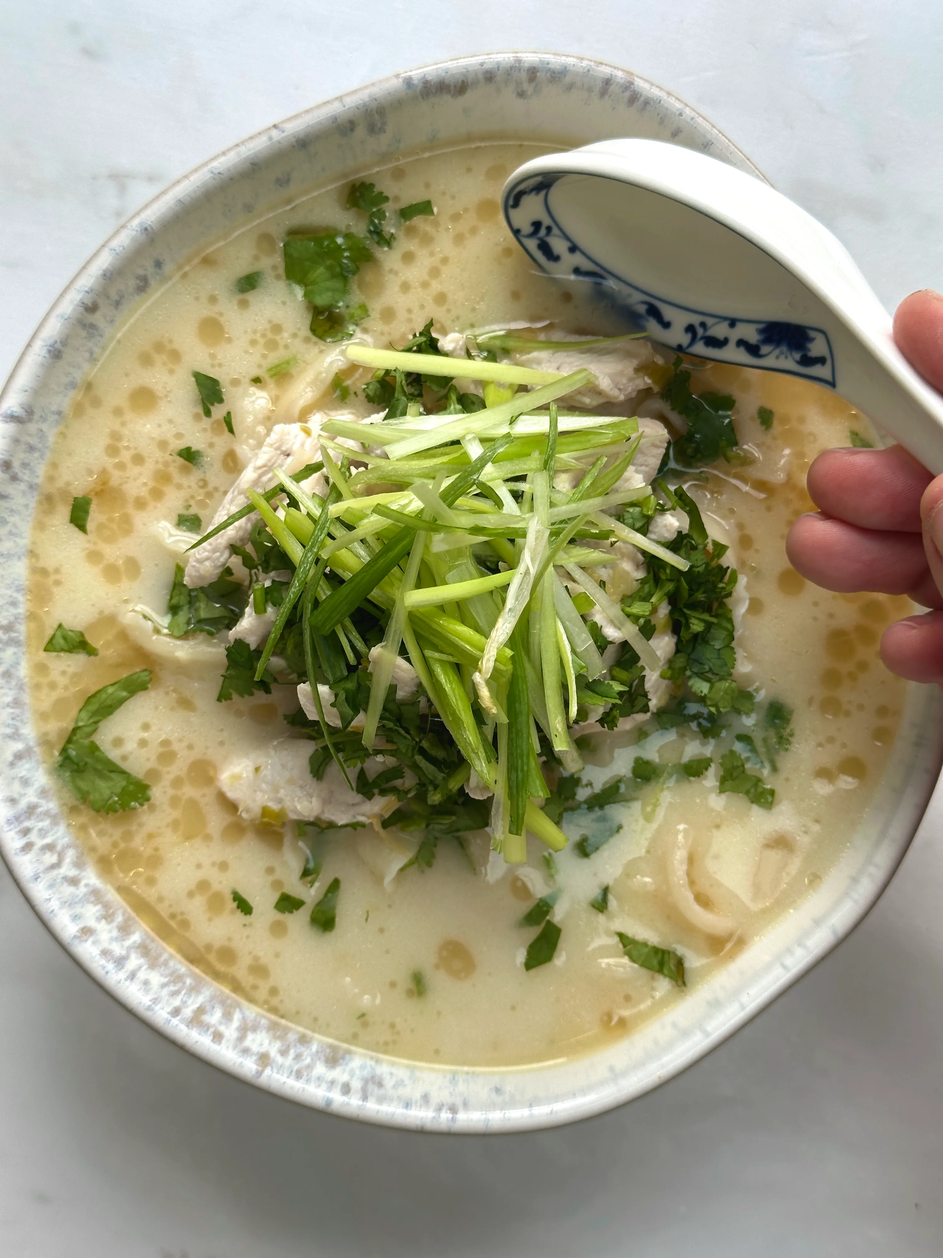 Coconut Ginger Chicken Noodle Soup (One Pot One Portion)