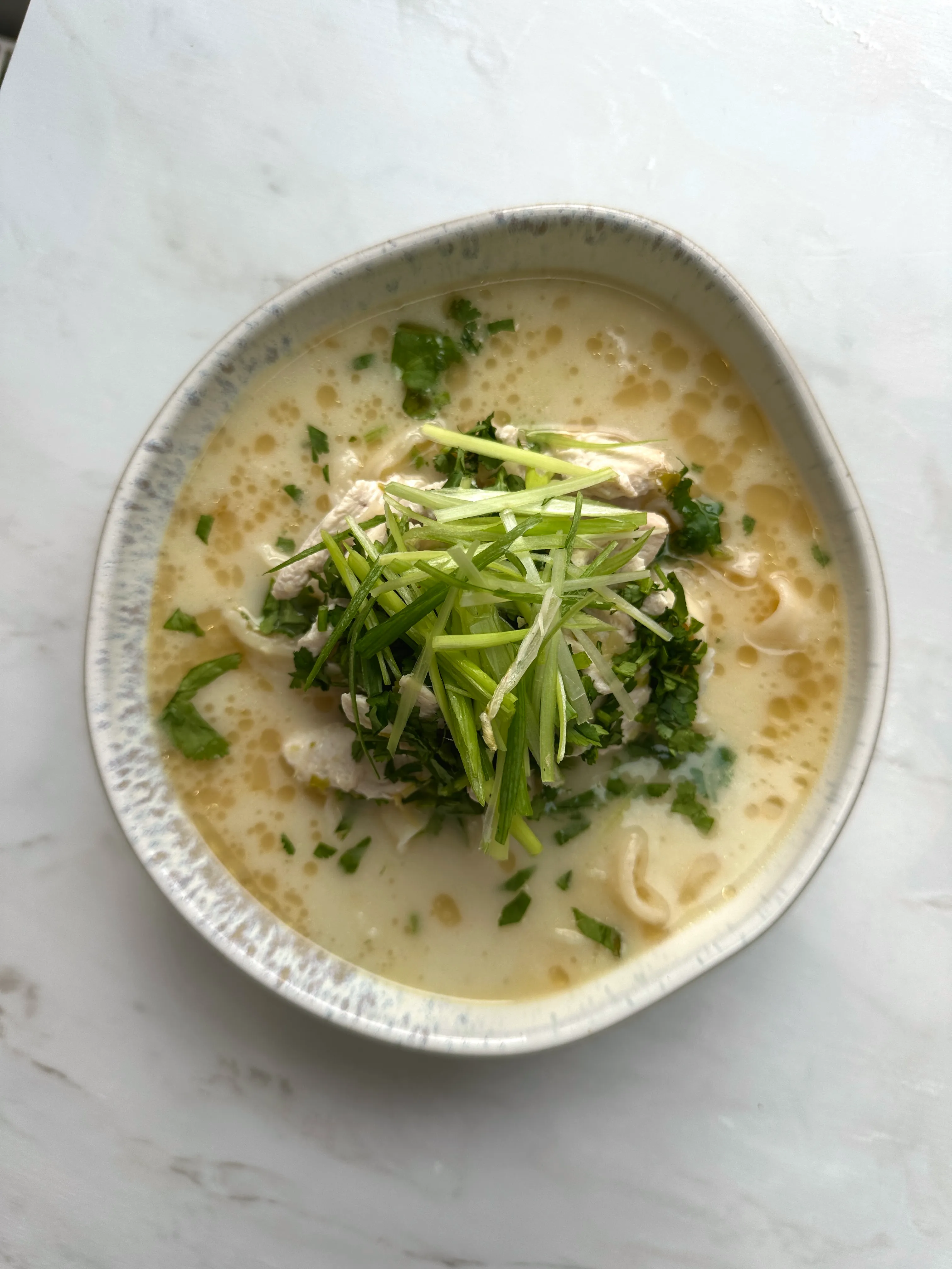 Coconut Ginger Chicken Noodle Soup (One Pot One Portion)