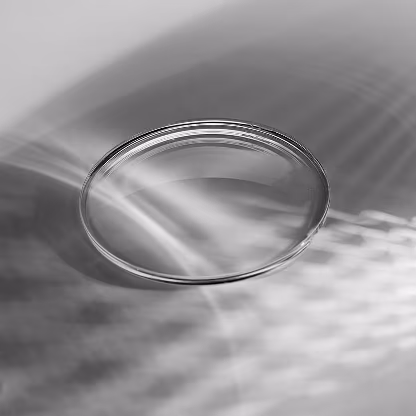 Black and white close-up of a transparent glass or petri dish