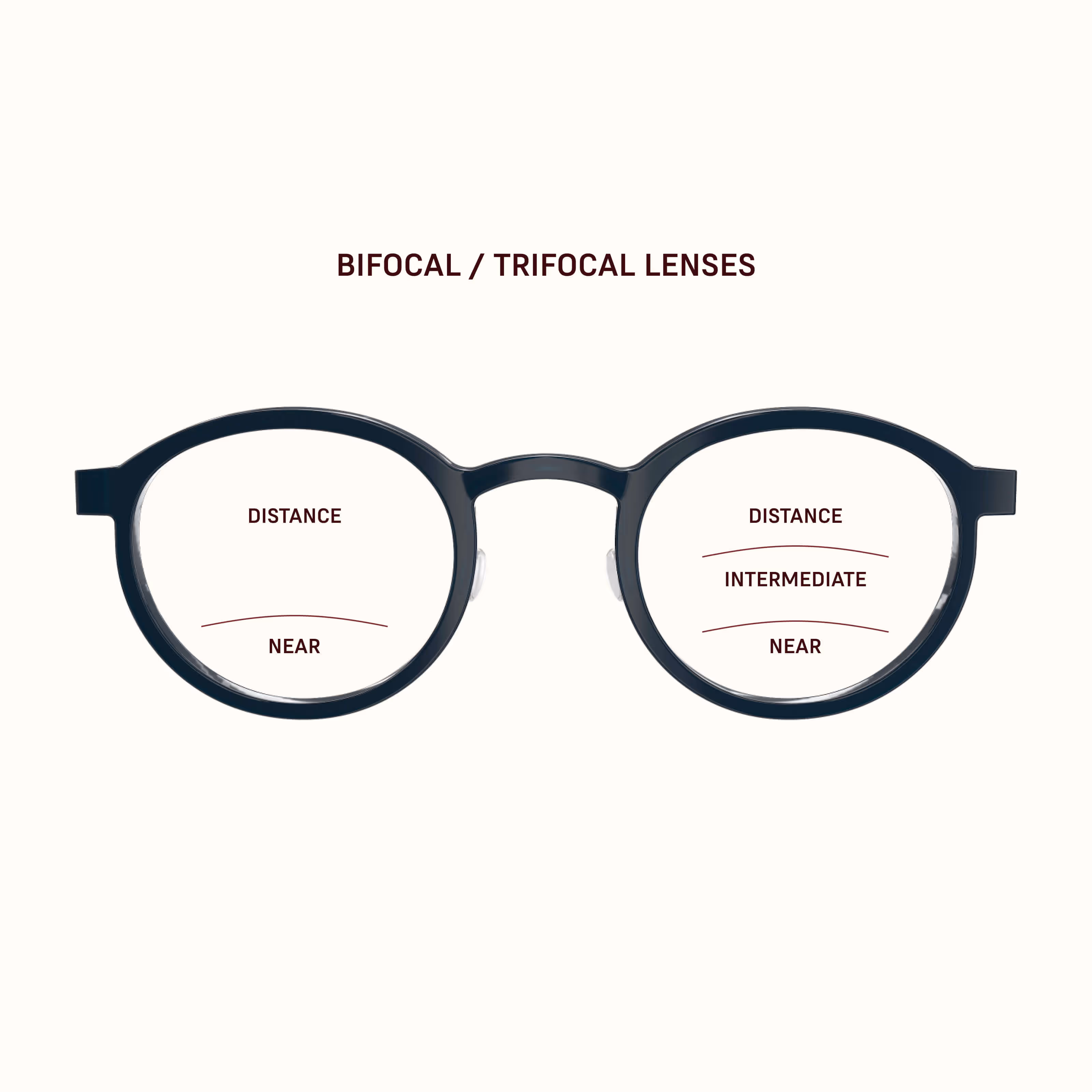 Diagram showing bifocal and trifocal lenses with different vision ranges
