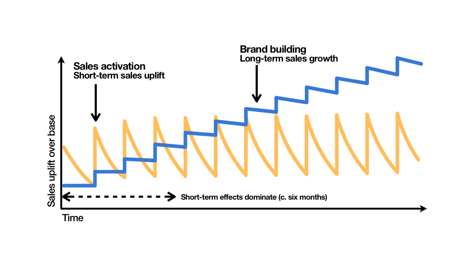 Graph showing short-term sales activation versus long-term brand building effects over time, from The Long and the Short of It by Les Binet and Peter Field