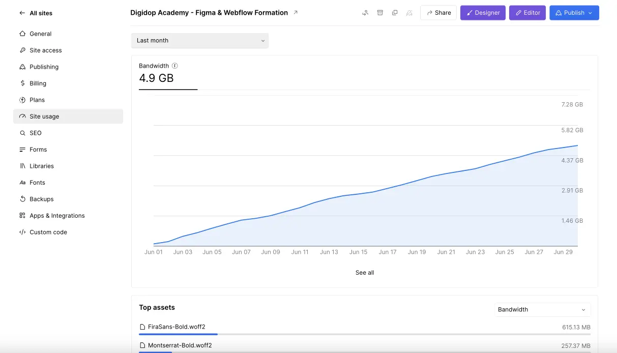 Fonctionnalité de Webflow pour voir la bande passante utilisée par mois